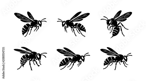 Foto Set of black wasp stickers isolated on white background depicting dangerous flyi