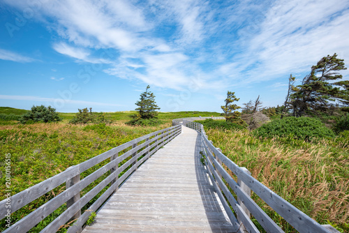Canada, Prince Edward Island, Greenwich, Empty boardwalk in Prince Edward Island National Park