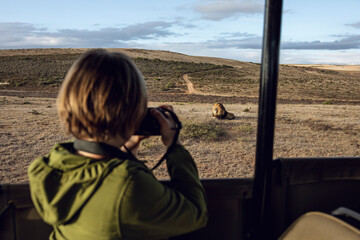 Back view of girl taking photo of lion, Inverdoorn game Reserve, Breede River DC, South Africa