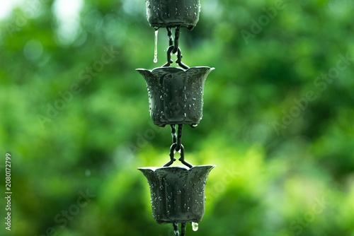 Bild auf Leinwand Raindrops cascading from decorative metal fixtures surrounded by lush greenery c