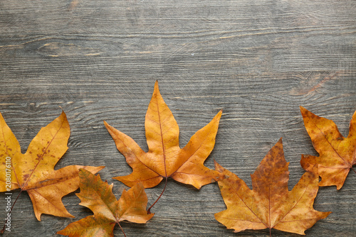 Autumn leaves on grey woode...