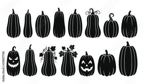 Cuadro en lienzo Halloween silhouette pumpkins and gourds vector graphic