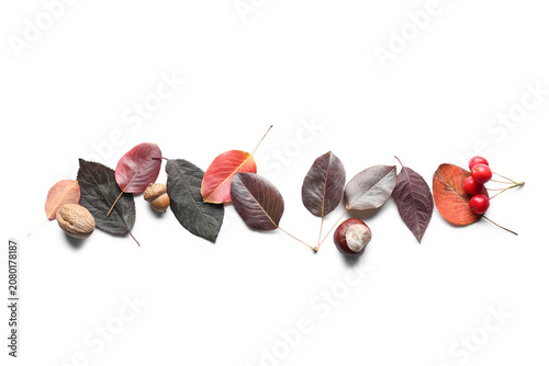 Autumn leaves with berries,...
