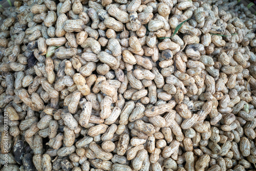 Closeup of fresh Ground Peanut Pods in a traditional market in Indonesia