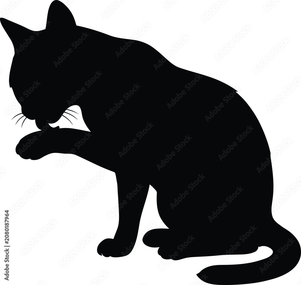 Obraz premium Black Cat Licking Paw Silhouette Vector Sitting Feline Template