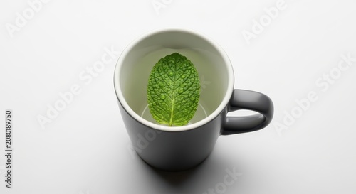 Green leaf in a gray cup.
