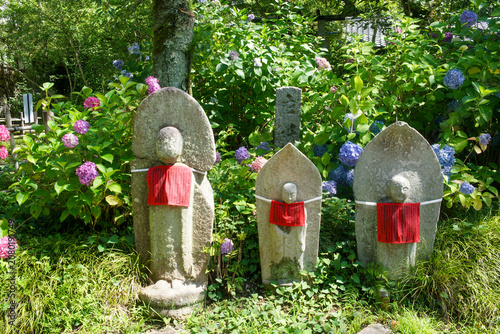 矢田寺のお地蔵さんと紫陽花