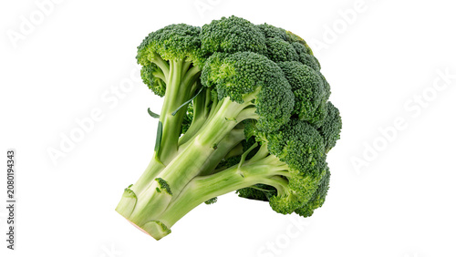 Fresh green organic broccoli floret vegetable health food item isolated on transparent background Png cut out