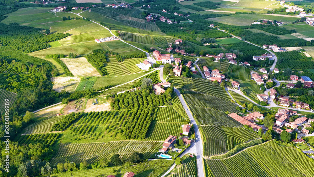 Fototapeta premium Aerial View of Lush Vineyards and Village in Piedmont Italy