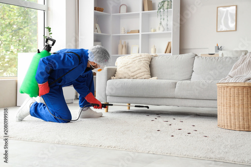 Foto Male pest control specialist carrying out cockroach disinfection in room