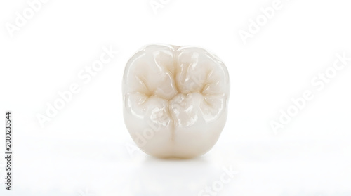 Detailed Molar Dental Crown or Ceramic Onlay Restoration Showing Occlusal Surface Anatomy for Back Tooth Repair in Cosmetic Dentistry, High Quality Zirconia Prosthetic for Oral Health