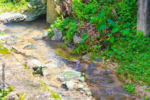 Green river flowing through lush tropical jungle vegetation Thailand.