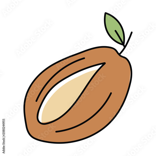 Almond nut with green leaf vector illustration for healthy food and natural ingredient branding