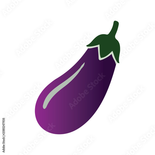 Purple eggplant vector illustration isolated on white background. Aubergine flat vector icon.