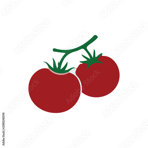 Red tomatoes on vine vector illustration. Fresh ripe tomatoes isolated on white background.