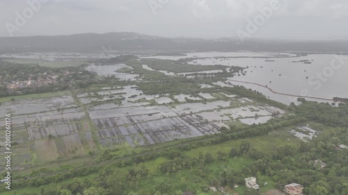 Aerial view of Old Goa and the Mandovi River during the monsoon season, featuring coconut palms, green fields, backwaters, lush greenery, nearby houses, and cloudy skies.
