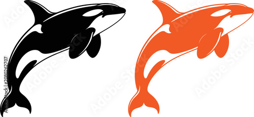Foto Black and orange orca whale fish marine mammal illustration  two dolphins