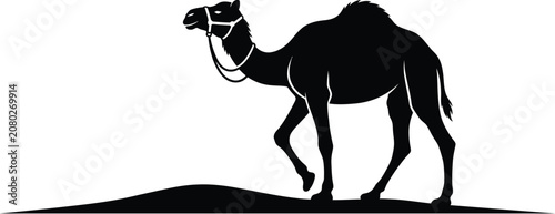 Foto Dromedary camel silhouette walking on desert sand dune hill vector illustration representing middle eastern tourism safari travel wildlife and hot climate concept