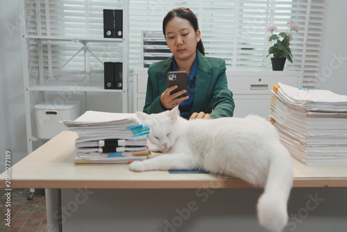 Fotografie An office employee standing behind a light wooden desk uses both hands to lift and vertically align a heavy stack of white document
