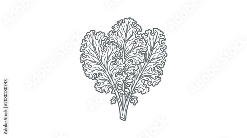 Εκτύπωση καμβά Industrial Style Black and White of Romaine Lettuce or Leafy Green Vegetable Bun