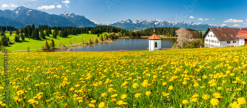 Panorama Landschaft mit Frühlingswiesen im Allgäu mit Blick über den Hegratsrieder Weiher und die Allgäuer Alpen zum Berg Säuling