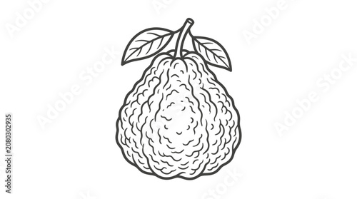Foto Corporate Style of a Textured Pear Fruit with Green Leaves on White with high qu