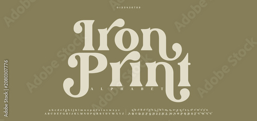 Cuadro en lienzo Modern and Elegant Fonts