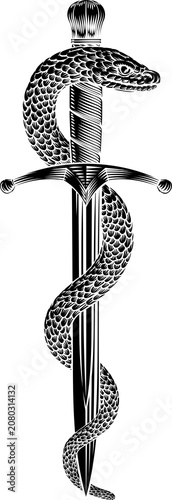 A dagger knife with snake w...