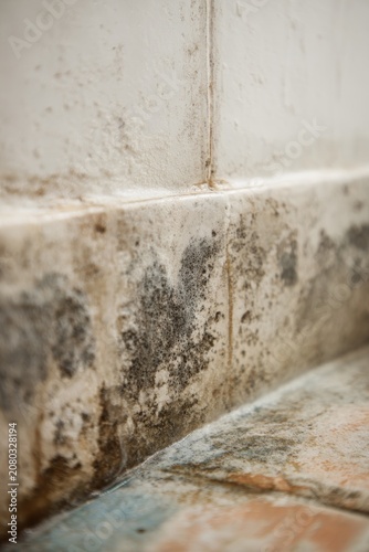 Black mold growing on a wall and tile joints in a bathroom close up, toxic fungus and mildew damage due to high humidity and water leakage, home renovation concept