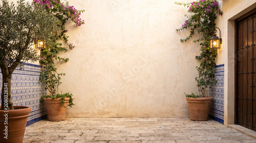 Patio Andaluz