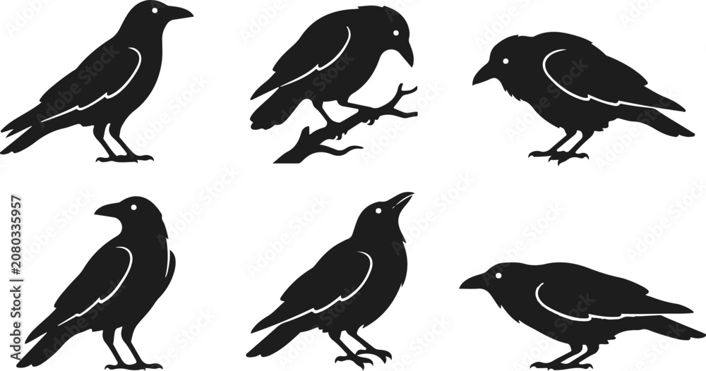 Fototapeta premium Collection of six black silhouette crow graphics with white highlights on clean white background