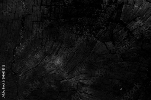 Photos Textura de madera de sección transversal de tronco de árbol negro oscuro, fondo natural