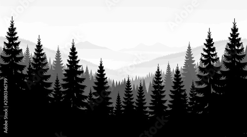 Silhouetted Evergreen Forest with Misty Mountains in Background