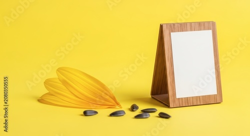 Sunflower petals and seeds with frame.