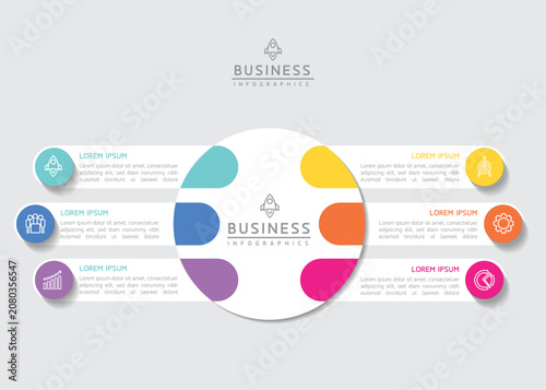 Vector infographic template showing steps or processes for business presentations and design creation.