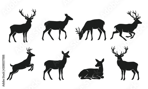 Various Deer Silhouette Poses Collection Isolated on White Vector Illustration