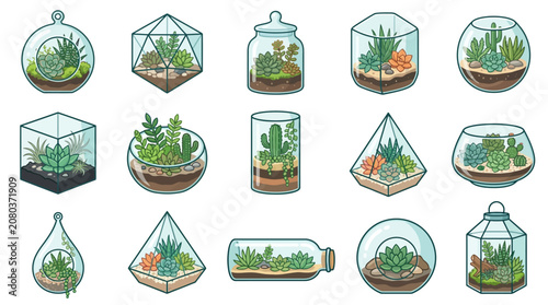 Obraz na płótnie Illustrations of various plants and cacti in glass terrariums on display