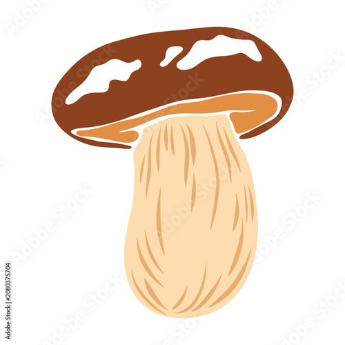 White mushroom. Abstract forest boletus, wild fungi with brown cap and stalk, edible mycology raw food, beige brown orange organic ingredients. Vector flat illustration