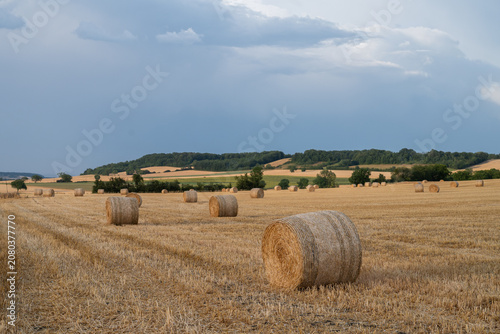 Bottes de foin dans un champ après la moisson