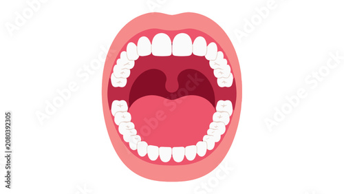 Obraz na plátně Open human mouth anatomy vector with teeth tongue and throat