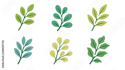 Set of stylized leafy plant branches in flat vector style