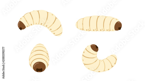Fotografie Cartoon larva insect set isolated on white background