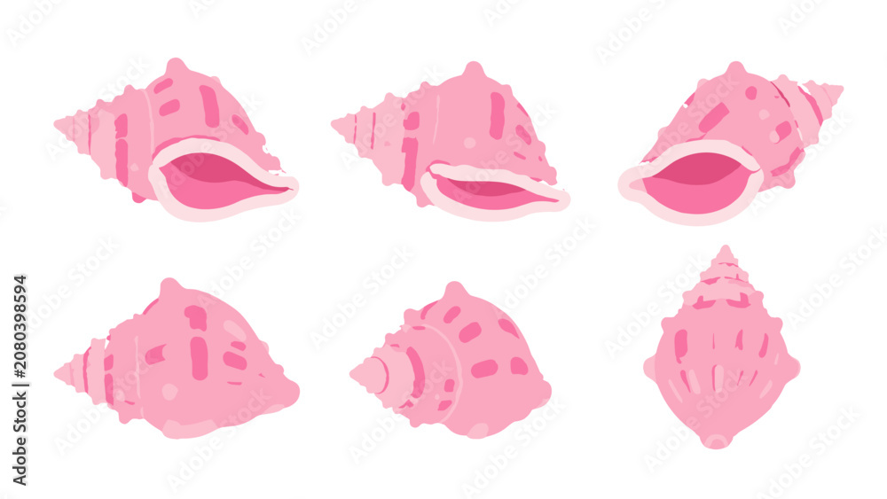 Fototapeta premium Pink conch shell set in soft watercolor vector style