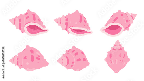 Fotografie Pink conch shell set in soft watercolor vector style