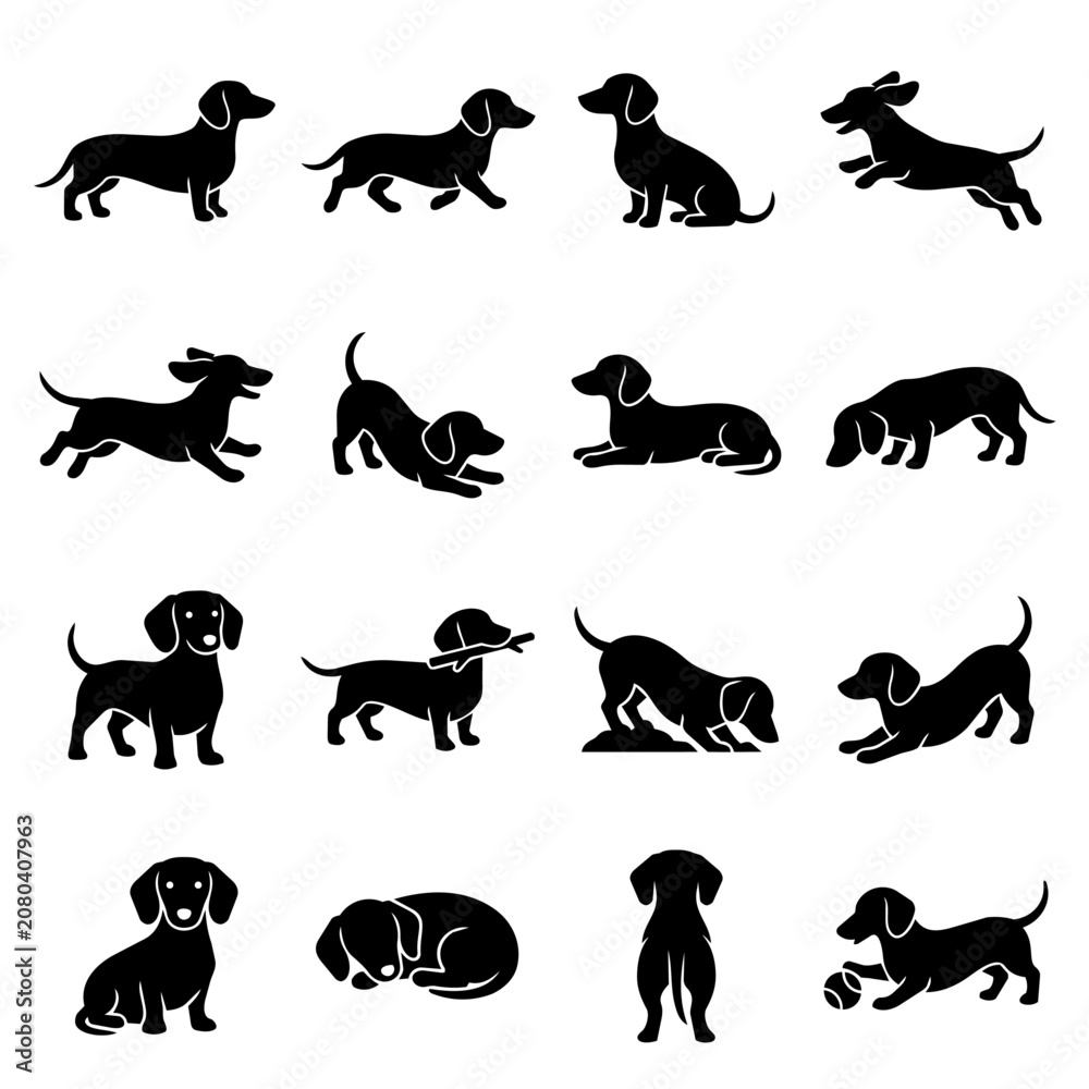 Fototapeta premium Dachshund dog silhouette collection various poses