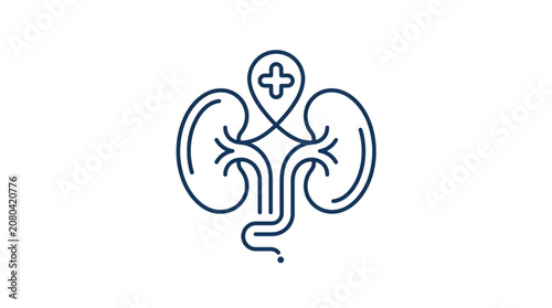 Medical symbol of human kidneys with a cross.