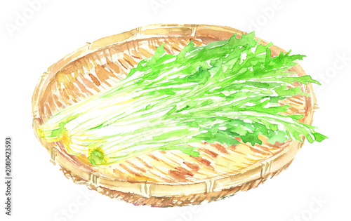 Tableau sur toile 籠に盛られた水菜の水彩イラスト 透明背景