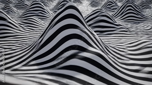 Abstract landscape of black and white wavy stripes.