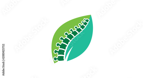 Natural Spine Care Logo Featuring a Leaf and Human Anatomy in a Health Visual