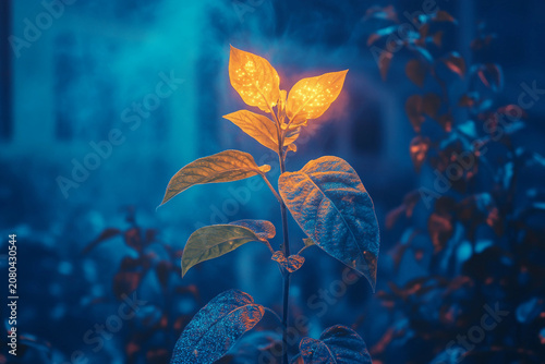 Generative AI illustration of magical forest filled with night blooming flowers like moonflower eveningprimrose and nightphlox glowing in moonlight